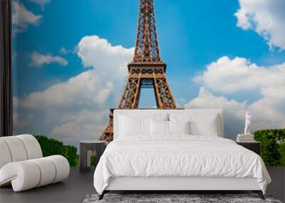 Eiffel Tower and spring tulips on Field of Mars, Paris, France Wall mural