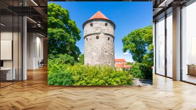 Kiek-in-de-Kok tower in Tallinn old town, Estonia Wall mural