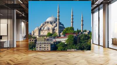 Suleymaniye mosque in Istanbul, Turkey Wall mural