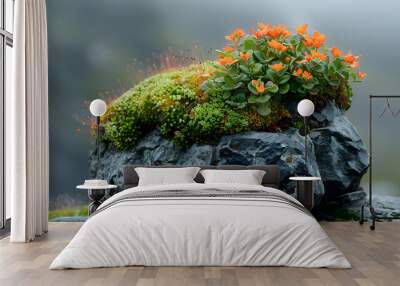 A close-up of nature fjord floraof the plants growing on the rocky cliffs Wall mural