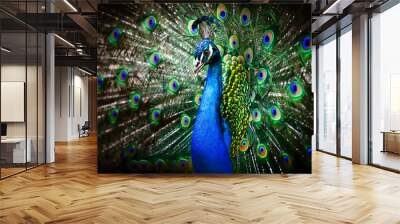 Beautiful peacock Wall mural