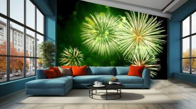 fireworks 2 Wall mural