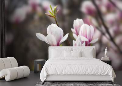 magnolia flowers Wall mural