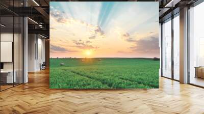 Sunset Heaven Wall mural