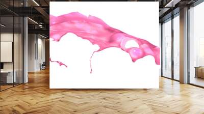 Pink paint splashing isolated on white background Wall mural