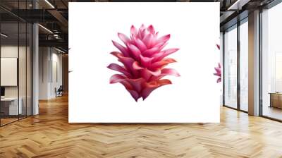 Set of exotic pink turmeric flower twig, illustration, isolated over on transparent white background Wall mural