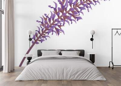 Lavender or salvia Wall mural