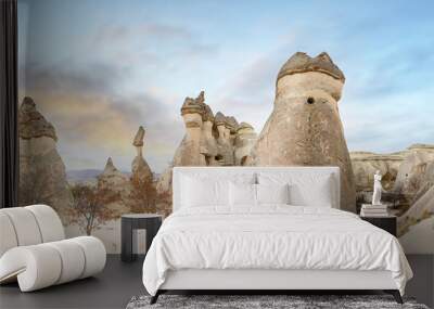 Fairy chimneys rock formations near Goreme, Cappadocia, Turkey. Wall mural