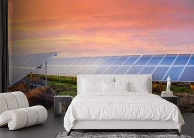 Solar panels on sunset. Industrial landscape with photovoltaic power plant. Environmental concept. Solar Farm produces alternative green energy. Photovoltaic cells   Wall mural