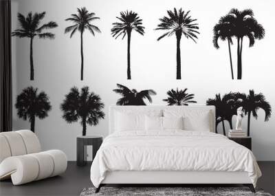 Tropical coconut palm, different natural varieties of trees. 
Set of vector illustrations. Perfect realistic black silhouettes isolated on white background.  Wall mural