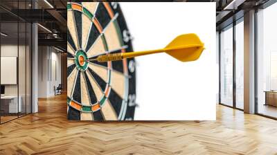 Darts target business concepts isolated on a transparent background Wall mural