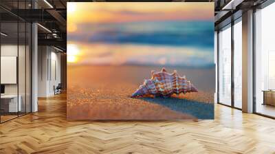 Beautiful Seashell on sandy beach with sunset in background. Wall mural