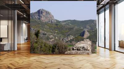 Nature and mountains around the ruins of the ancient city of Aspendos, Antalya southern Turkey Wall mural