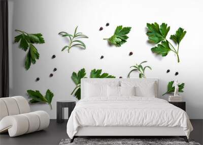 Herbs and spice, parsley, rosemary and peppercorn Wall mural