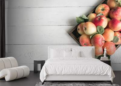 Red apples in wooden box Wall mural