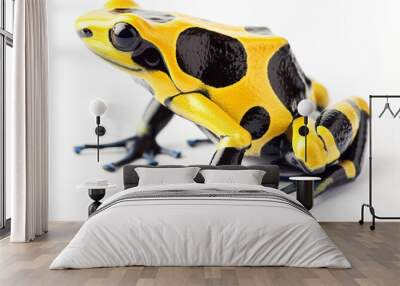 a yellow and black frog sitting on top of a white surface Wall mural