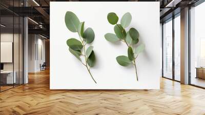 two green leaves on a white surface Wall mural