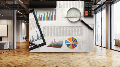 economical stock market graph Wall mural