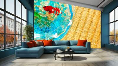 畳とガラスの金魚 Wall mural