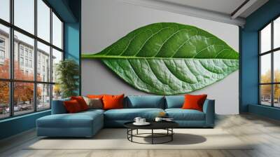 Close-up of a leaf on a table Wall mural