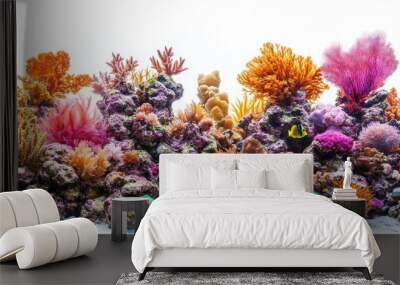 Colorful coral group in aquarium Wall mural