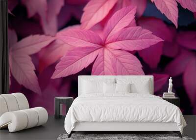 Pink Leaf Plant Close Up Wall mural