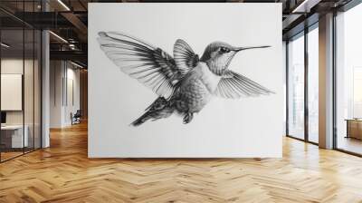 A detailed pencil drawing of a hummingbird in mid-flight, showcasing intricate wing patterns and textures against a light background Wall mural