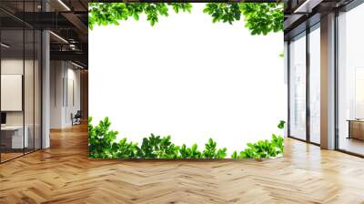 Frame of green leaves on background with center space Wall mural