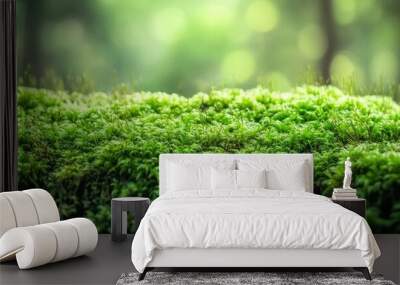 closeup of beautiful moss in forest with bright sunlight on background Wall mural