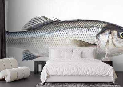 One fresh sea bass fish isolated on white background. Wall mural