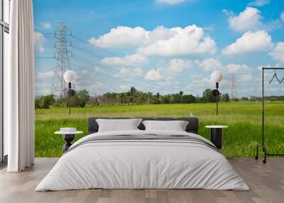 Electrical net of poles on blue sky and green rice field Wall mural