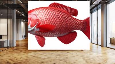 red fish isolated transparent Wall mural