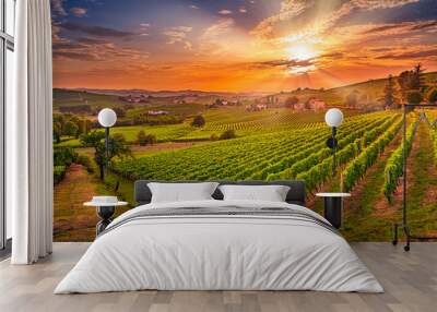 Spectacular wide angle view of Italian vineyards across the rolling hills at sunset Wall mural