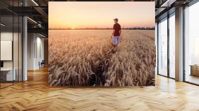 people wheat field sunset / landscape spring field agriculture of Ukraine Wall mural