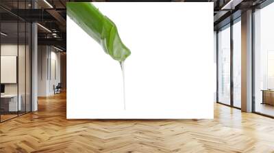 Leaf of green fresh aloe vera with dripping clear gel. On a blank background. PNG Wall mural