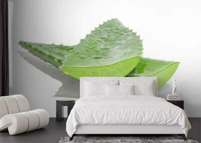 Two Leaf of green fresh aloe vera. On a white background. Wall mural