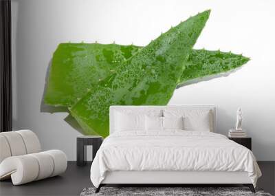 Two Leaf of green fresh aloe vera. On a white background. Wall mural