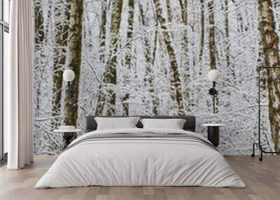 the winter tree with snow from russia Wall mural