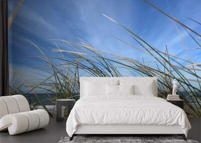 grass and sky Wall mural