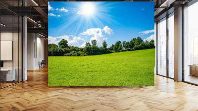 green field and blue sky with clouds Wall mural