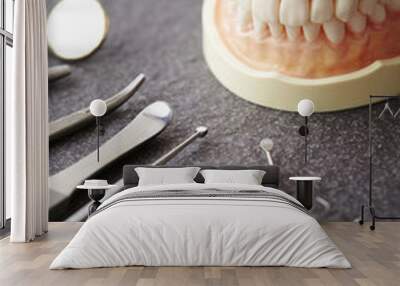 Dental tooth model with tools Wall mural