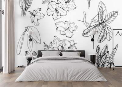 illustration of set with botanik ink herbal. isolated object rhododendron francisca. hand drawn alpi Wall mural