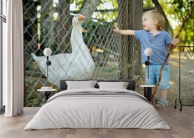 Cute little boy looking at farmyard birds at petting zoo. Child playing with a farm animal on sunny summer day. Kid interacting with animals. Wall mural