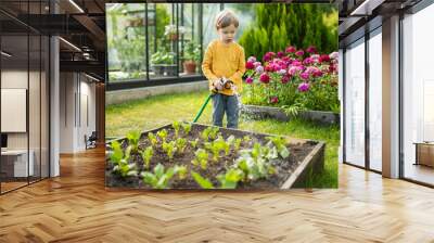 Cute little boy watering flower beds in the garden at summer day. Child using garden hose to water vegetables. Kid helping with everyday chores. Wall mural