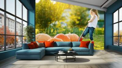 Cute little girl having fun with huge pumpkins on a pumpkin patch. Kid picking pumpkins at country farm on warm autumn day. Wall mural