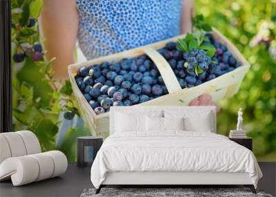 Cute little girl picking fresh berries on organic blueberry farm on warm and sunny summer day. Fresh healthy organic food for small kids. Wall mural