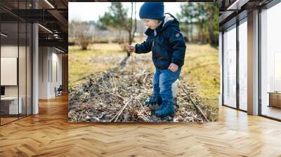 Cute toddler boy playing outdoors on sunny spring day. Child exploring nature. Wall mural