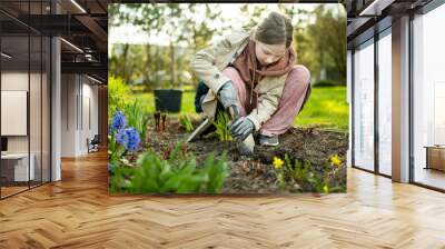 Pretty preteen girl planting hyacinth flowers on spring day. Child helping with spring chores. Wall mural