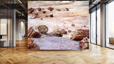 Stunning petrified wood in the Petrified Forest National Park, Arizona Wall mural