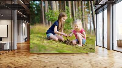 Two adorable little sisters hiking in a forest Wall mural